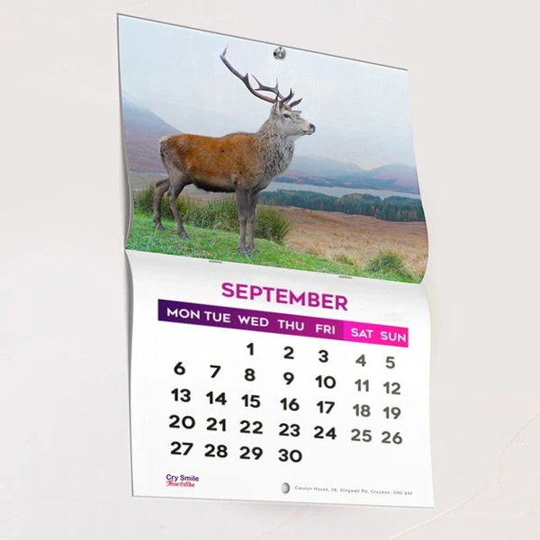  Promotional - Calenders